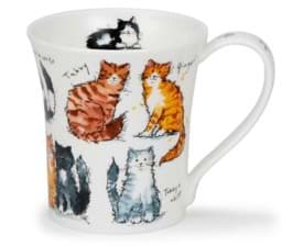 Zeige Details für Dunoon Jura Messy Cats by Kate Mawdsley Bild von Dunoon Jura Messy Cats by Kate Mawdsley