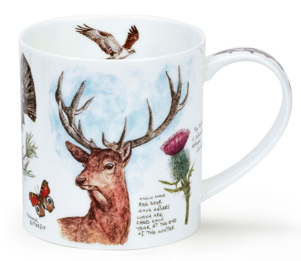 Bild von Dunoon Orkney Scottish Noteboook - Stag