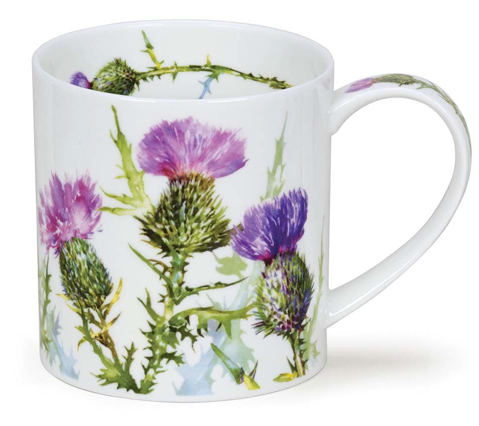 Bild von Dunoon Orkney Scottish Thistle by Harrison Ripley