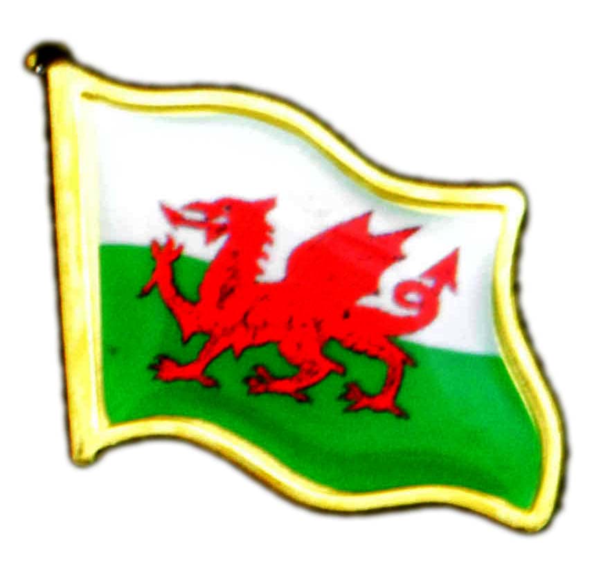 Bild von Wales Flag Shaped Pin