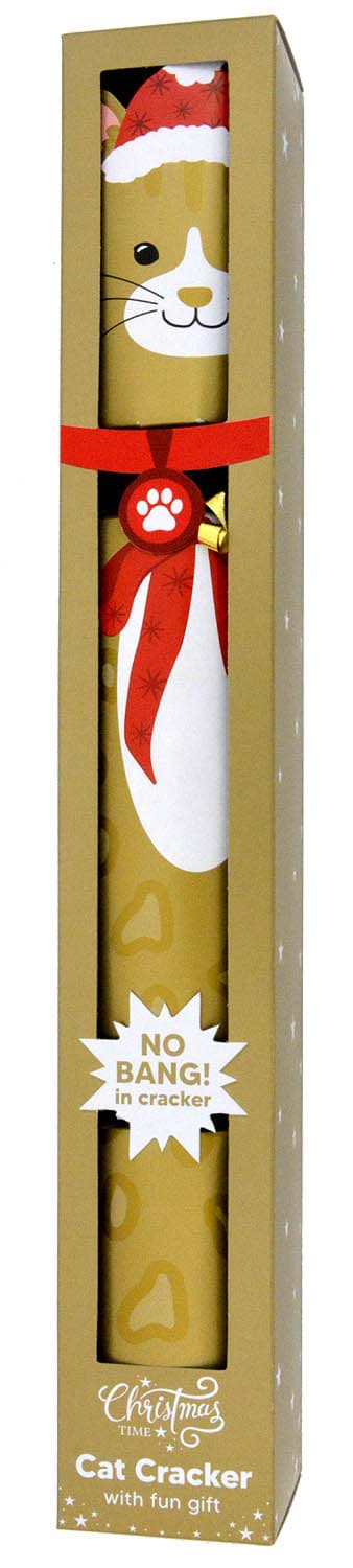 Bild von Pet Christmas Cracker Cat
