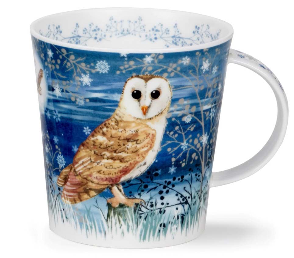Bild von Dunoon Cairngorm Full Moon - Barn Owl by Kate Mawdsley