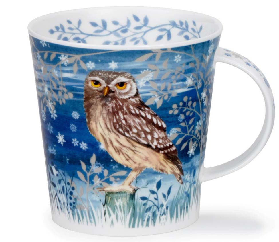 Bild von Dunoon Cairngorm Full Moon - Little Owl by Kate Mawdsley