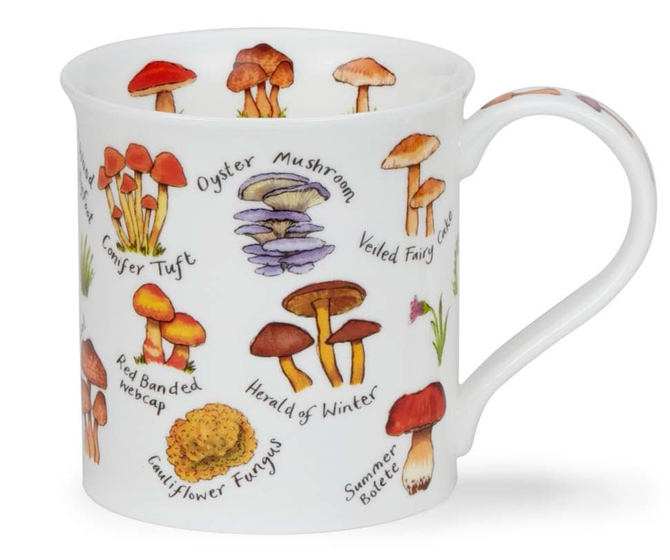 Bild von Dunoon Bute Mushrooms & Toadstools by Kate Mawdsley