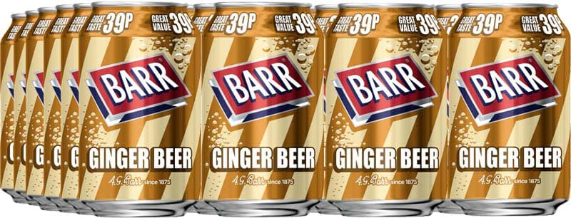 Bild von Barr Ginger Beer 24 x 330ml Dosen