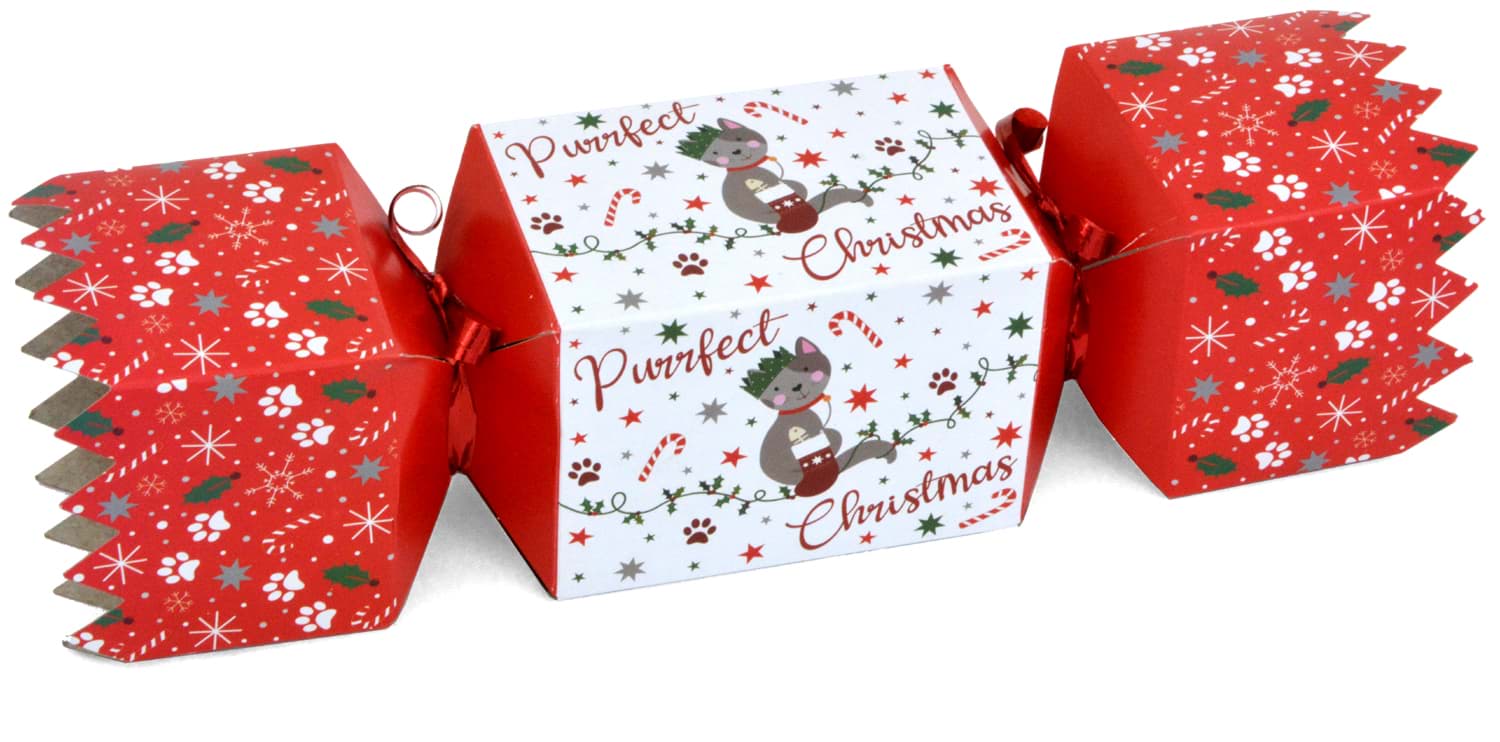Pet Christmas Cracker Cat
