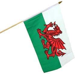 Bild von Wales Small Handwaving Flag